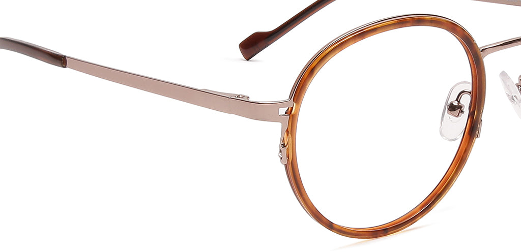 Brown_Tortoise_with_Gold