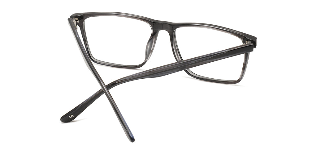 Grey_tortoise_with_grey