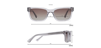 Grey_Transparent_with_Brown_Lens