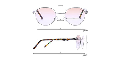 Silver_with_Brown_Lens