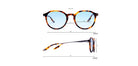 Brown_Demi_with_Blue_Lens