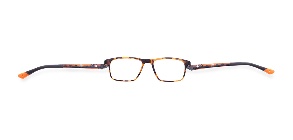 Brown_Demi_with_Orange