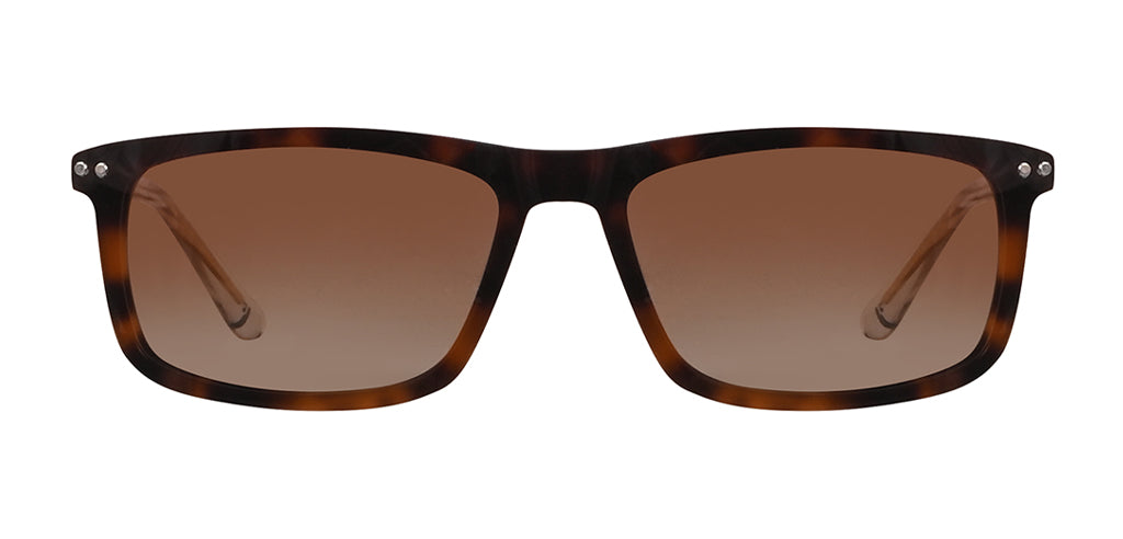 Brown_Demi_with_Gold