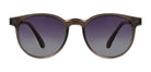Brown_Transparent_with_Brown