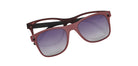 Brown_Matte_with_Brown