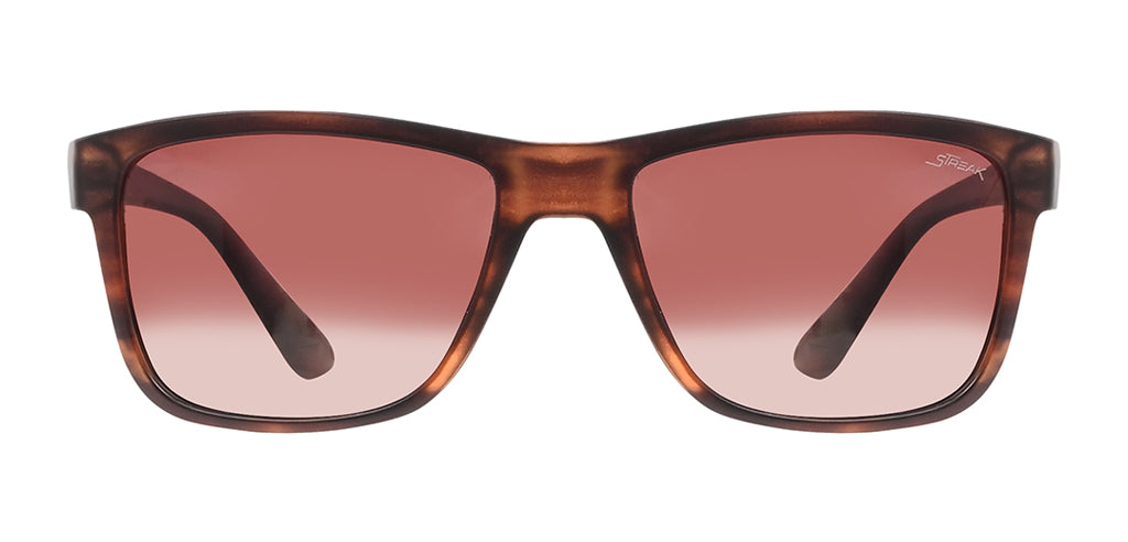Brown_Demi_with_Brown