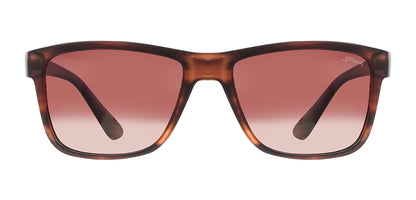Brown_Demi_with_Brown
