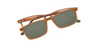 Brown_Matte_with_Brown
