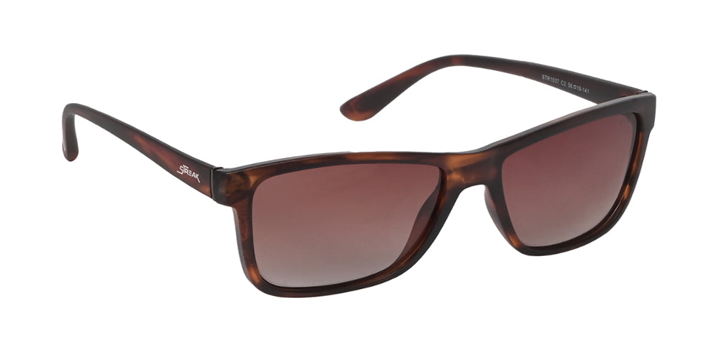 Brown_Demi_with_Brown