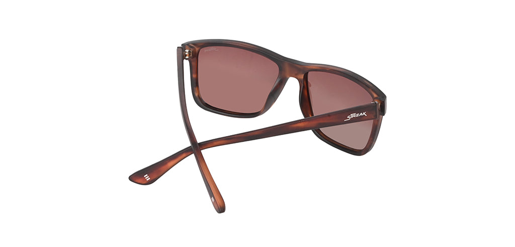 Brown_Demi_with_Brown