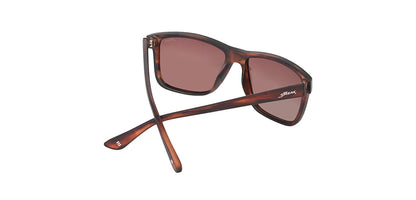 Brown_Demi_with_Brown