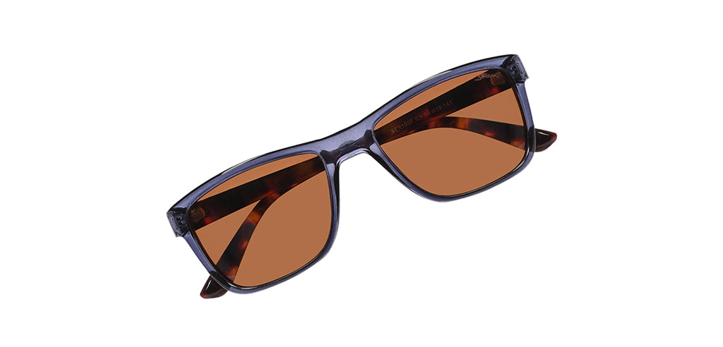 Blue_Transparent_with_Brown