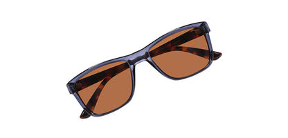 Blue_Transparent_with_Brown