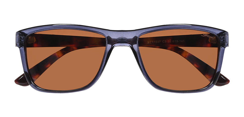 Blue_Transparent_with_Brown