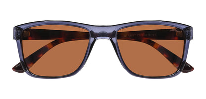 Blue_Transparent_with_Brown