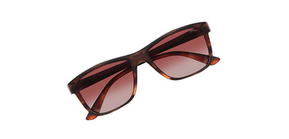 Brown_Demi_with_Brown