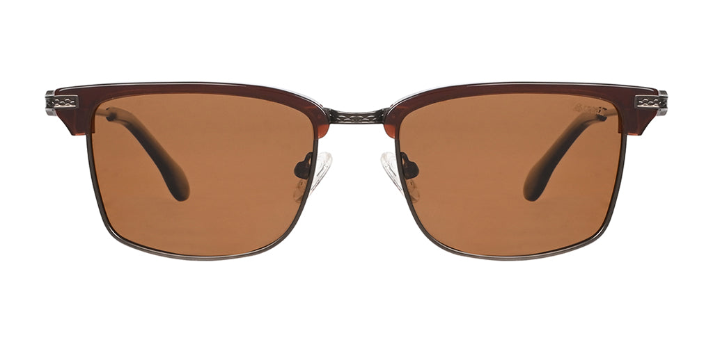 Brown_with_Brown_Lens