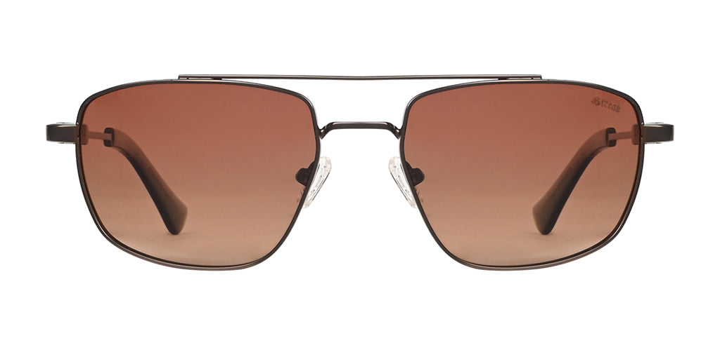 Brown_with_Brown_Lens