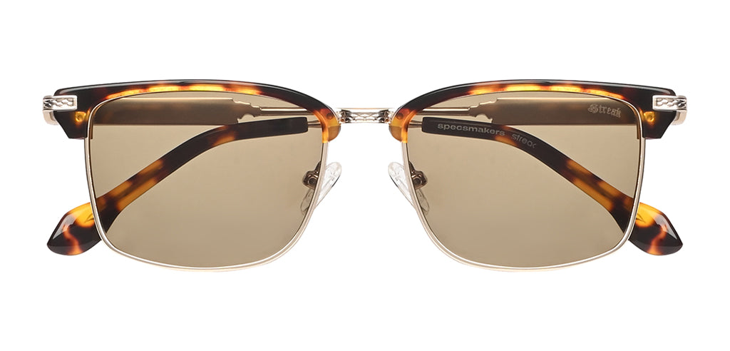 Brown_Demi_with_Green_Lens