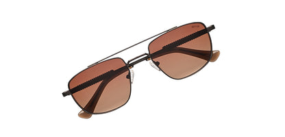 Brown_with_Brown_Lens