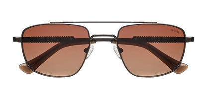 Brown_with_Brown_Lens