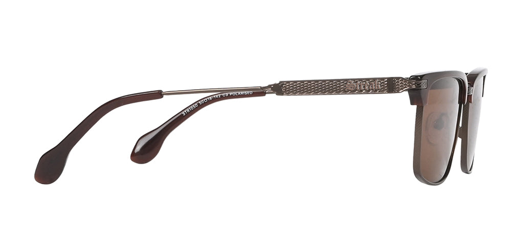 Brown_with_Brown_Lens