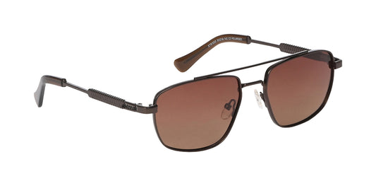 Brown_with_Brown_Lens