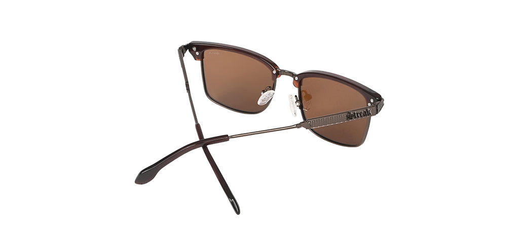 Brown_with_Brown_Lens