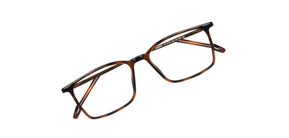 Brown_Demi_with_Gold