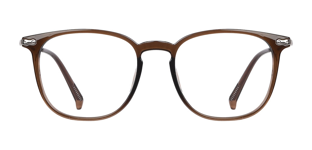 Brown_with_Silver