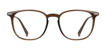 Brown_with_Silver