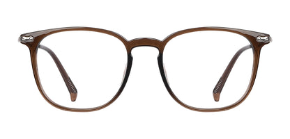 Brown_with_Silver
