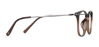 Brown_with_Silver