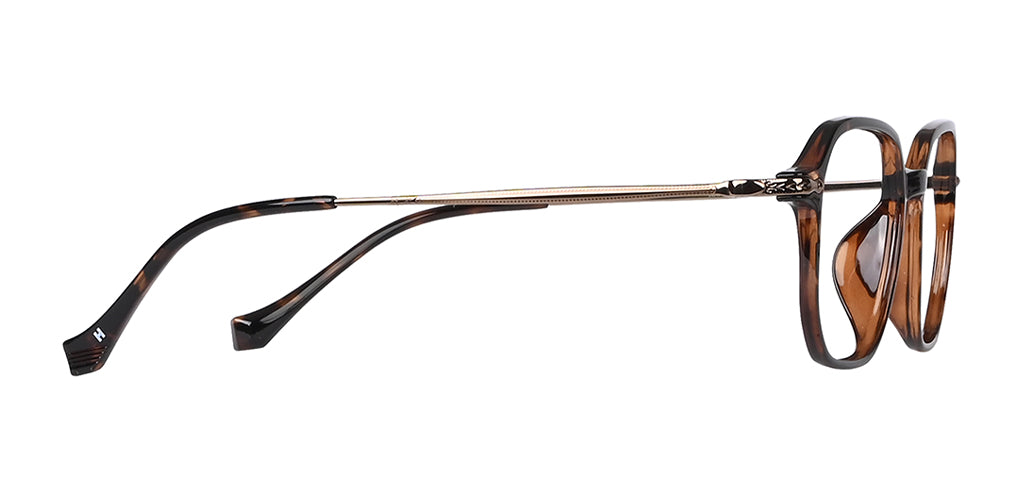 Brown_Demi_with_Brown