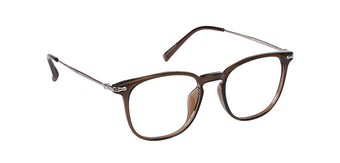 Brown_with_Silver