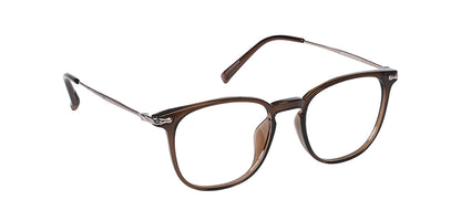 Brown_with_Silver