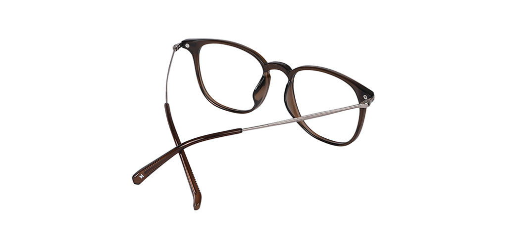 Brown_with_Silver