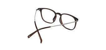 Brown_with_Silver