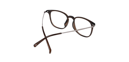Brown_with_Silver
