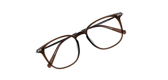 Brown_with_Silver