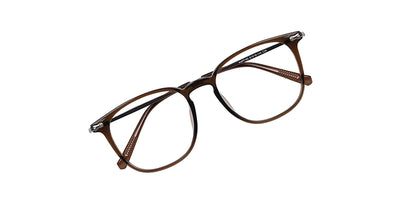 Brown_with_Silver