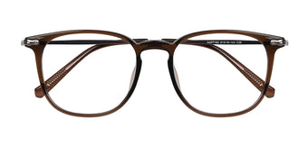 Brown_with_Silver