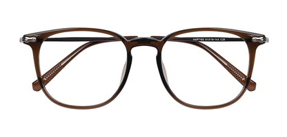 Brown_with_Silver