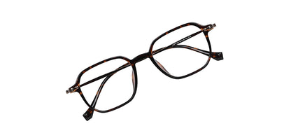 Brown_Demi_with_Brown