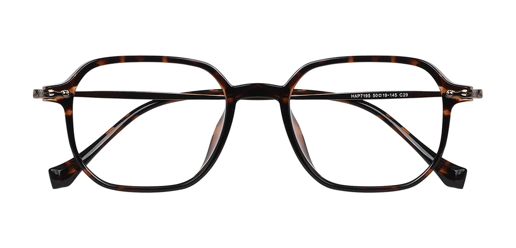 Brown_Demi_with_Brown