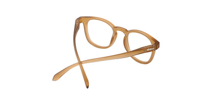 Brown_Matte_with_Brown