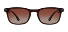 Brown_Transparent_with_Brown