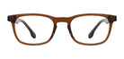 Brown_Transparent_with_Brown