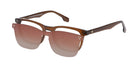 Brown_Transparent_with_Brown