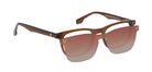Brown_Transparent_with_Brown